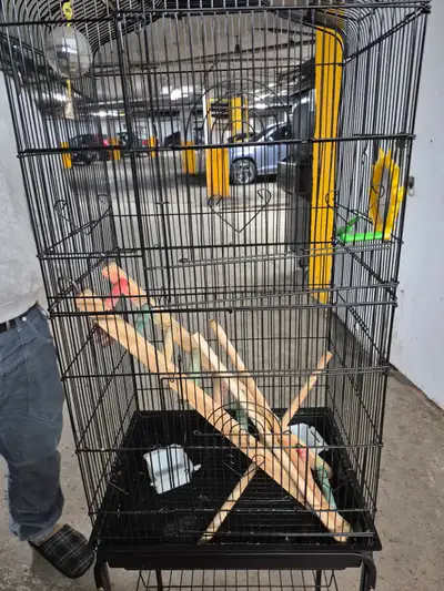 Bird cages  both 5 feet high  including the stand, View more