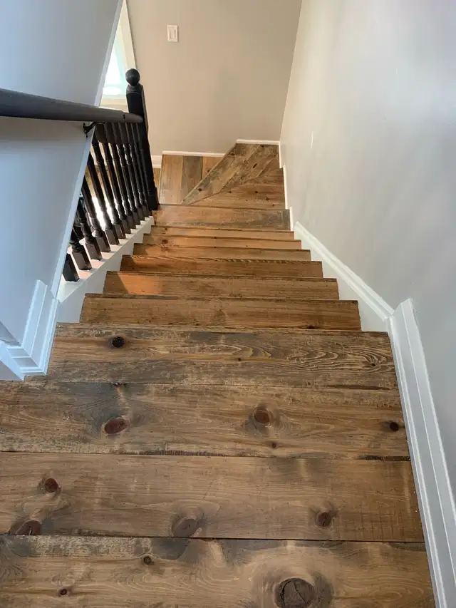 trim carpenter64684036788353122