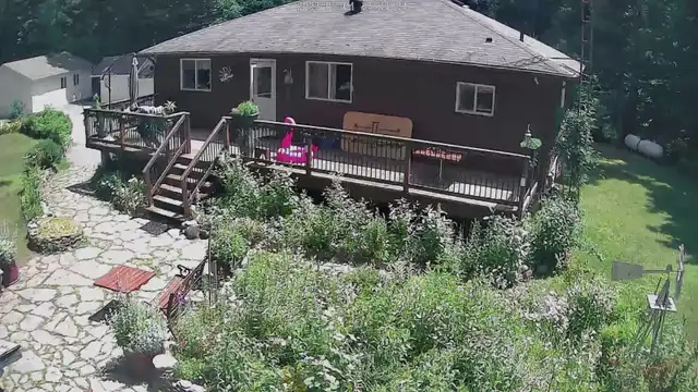 Cottage on Balsam lake near Balsam lake provincial park in Ontario in Canada - Image 2