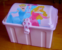 Lovely Princess Treasure Storage Box