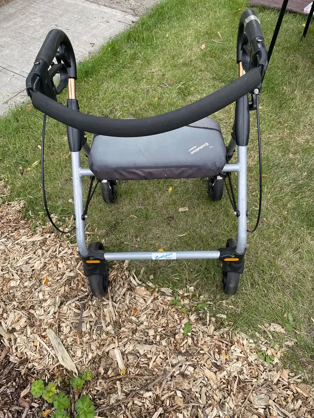 4 Wheel Walker63436969812995123