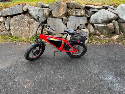 Fabulous EMX extreme 60 V bicycle works great fat tires one year old $2500. OBO call for information...