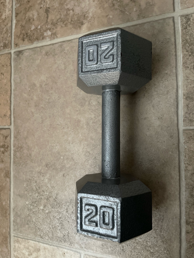 20lbs weight in Exercise Equipment in Regina - Image 2