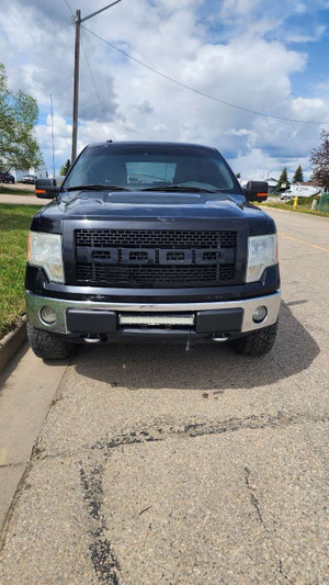 2009 Ford F 150