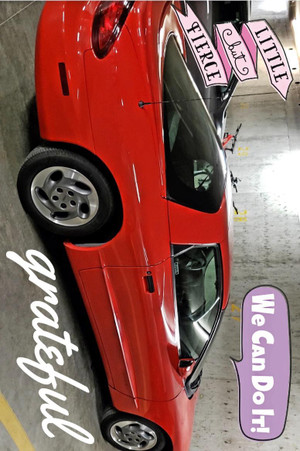 1995 Pontiac Firebird