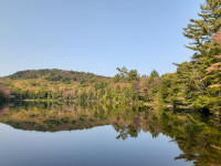 Terre à bois située au Lac Saint-Charles à Québec