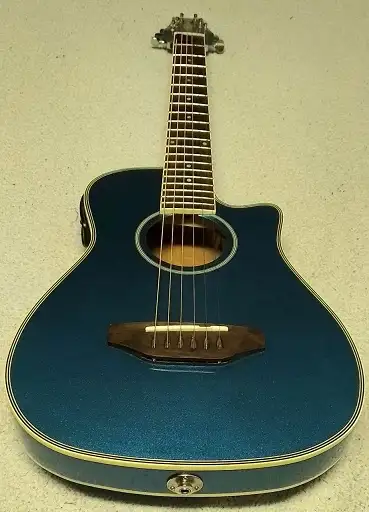 Guitar electro-acoustic Beaver Creek + case, View more