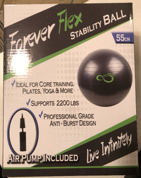 NEW Live Infinitely Stability Ball with Hand Pump (55 cm Grey)