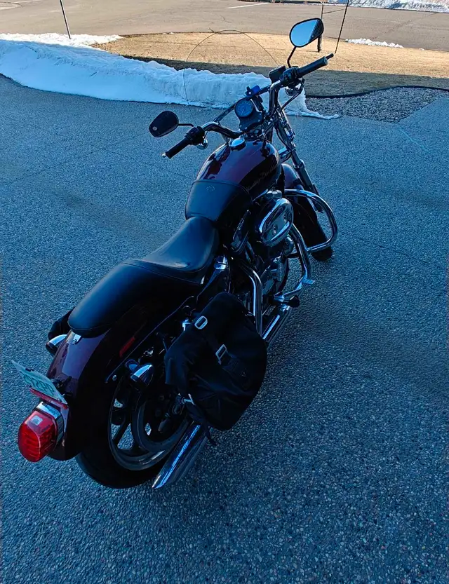 2014 Harley Davidson Sportster 883 in Street, Cruisers & Choppers in Regina - Image 7