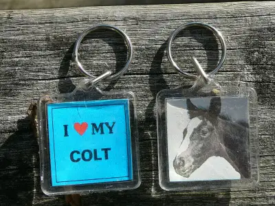 Horse keychains: I Love my Colt, I Love my Pony, View more