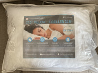 BRAND NEW SLEEP COUNTRY TEMPERATURE REGULATING PILLOW-pick up