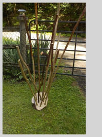 Beaver Sticks- Mementos of Muskoka