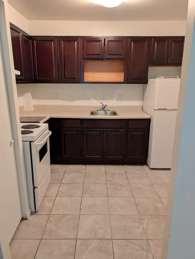 BEAU GRAND 3½, CDN/Libre/ Près Hôpital Juif, Ste-Justine,HEC, 1E