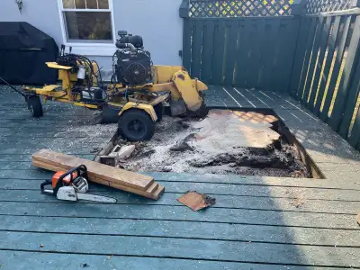 cheap Stump removal, View more
