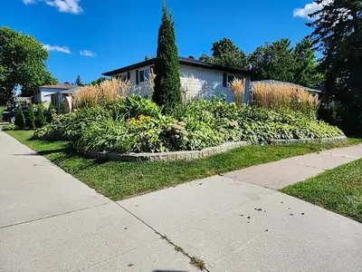 Looking for students or interns! Room for rent minutes walk to Georgian college. Clean updated house...