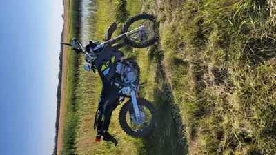 Mint bike low k upgraded tires pegs storage rack and hand guards