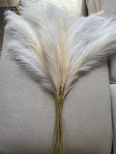 6x Artificial Pampa stems Champagne °, View more