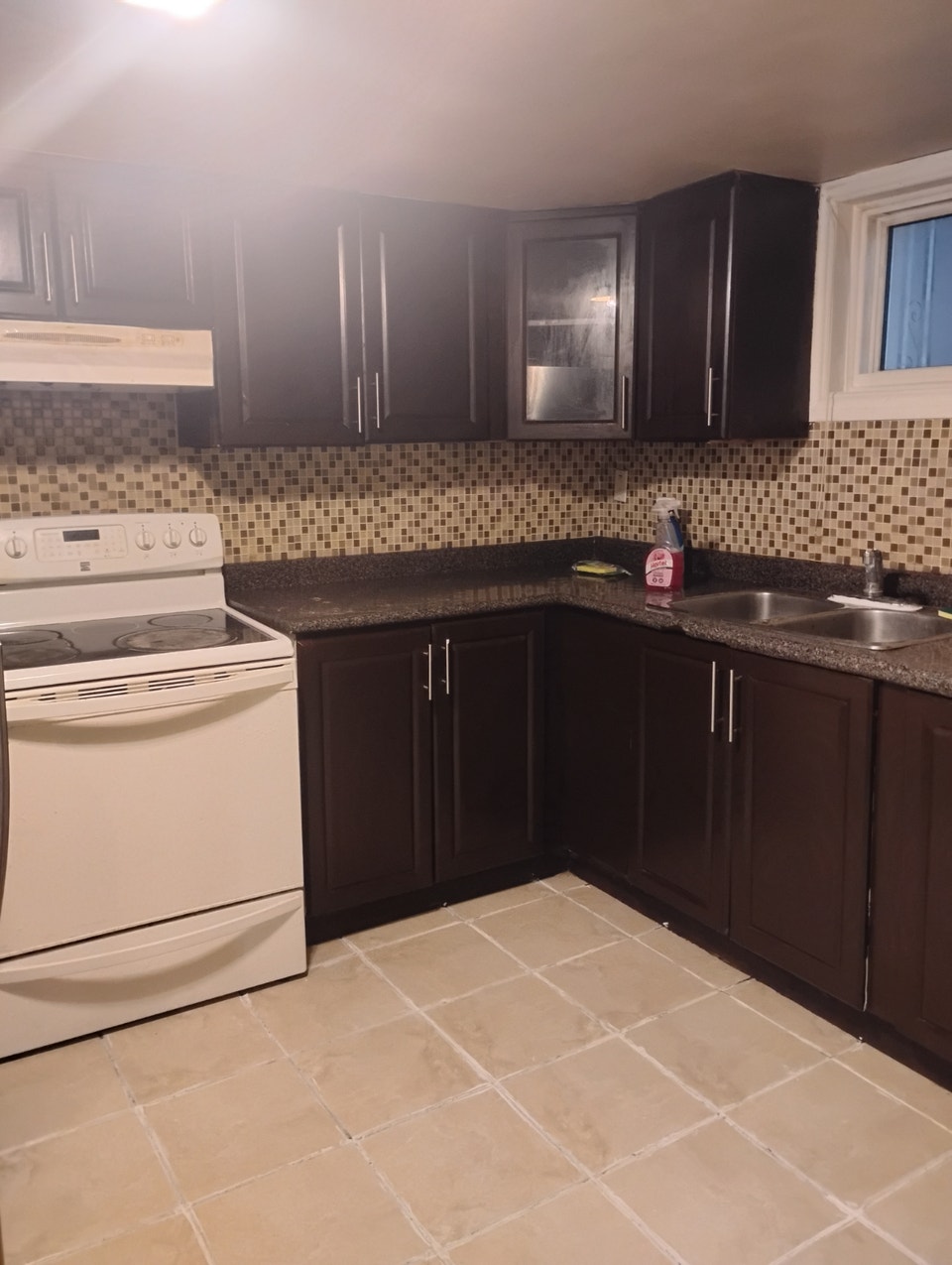 RENOVATED 2 BEDROOMS + BIG LIVING ROOM 4