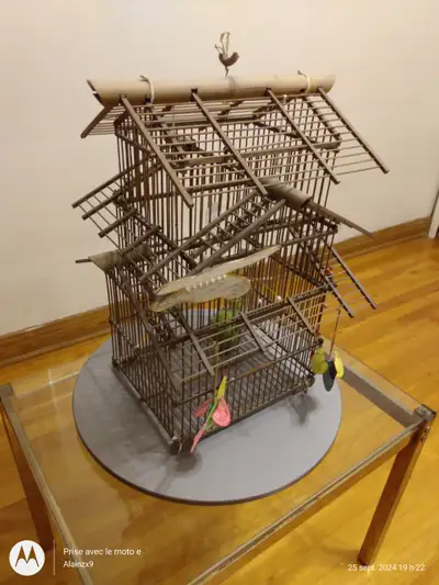 cage a oiseaux décorative, View more
