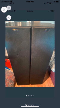 A Pair of Nuance Speakers very good Condition.