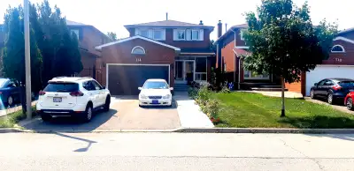 . --------Basement Apartment 2 Bedroom Basement Apartment in Woodbridge, Martingrove Rd. and Highway...