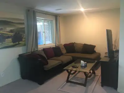 Bright 1 bedroom walkout unfurnished basement apartment for a quiet non-smoking professional individ...