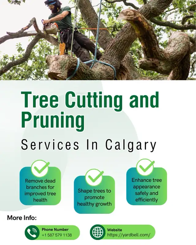 Tree Cutting & Pruning - Calgary and Nearby areas62864353926530126