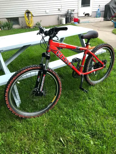a real mountain bike for $200, View more