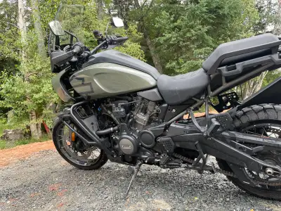 Harley Davidson Pan America