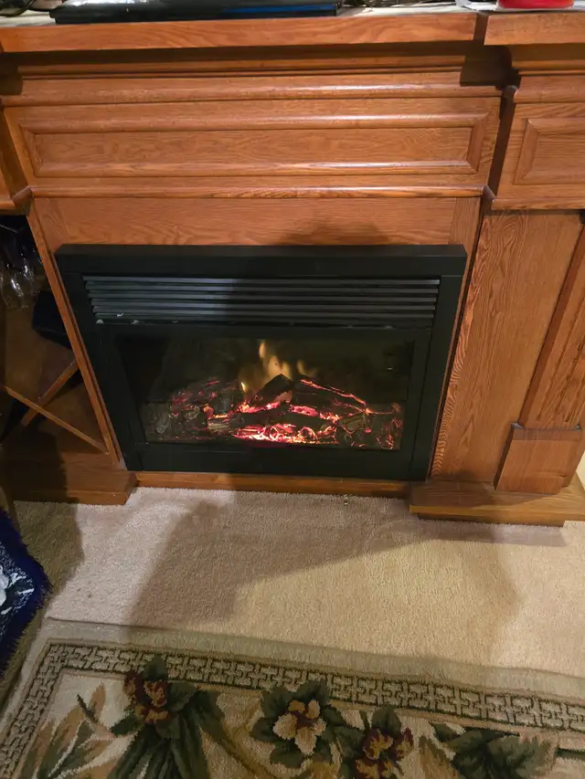 Fireplace stand tv fridge & glass wine in Fireplace & Firewood in Ottawa - Image 5