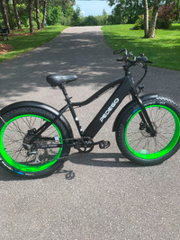 Pedigo 2021 Fat Tire Electric Bike
