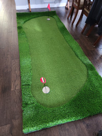 Golf Putting Green with chipping