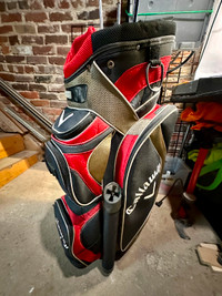 Golf Bag and Misc Clubs