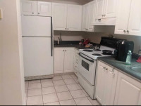 Large room for rent in 2 bedroom apartment