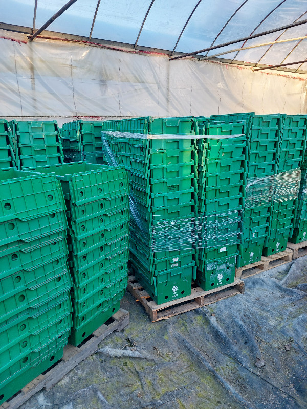 Plastic Tubs in Storage Containers in Norfolk County - Image 2