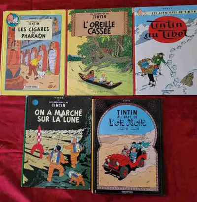 Livres de Tintin, View more