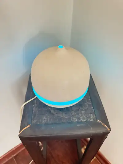 Refresh your space with this gently used Sage atomizer! Perfect for aromatherapy or creating a calmi...