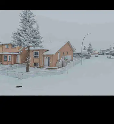 2 BEDROOM 1 BATHROOM BASEMENT FOR RENT IN MARTINDALE