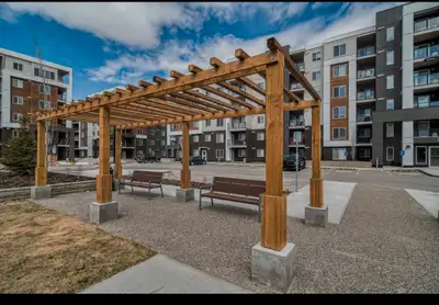 room for rent in apartment
