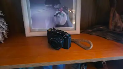 Fujifilm XM5, 27mm lens, View more