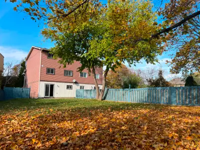 Total Renovated 3 Bed 3 Bathroom House-Sheppard & 404