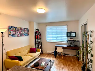 Bright 3 1/2 available in july! 10-minute walk to Pie-ix Station