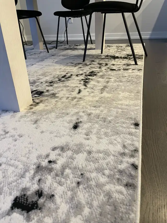 area rug in Rugs, Carpets & Runners in Ottawa - Image 4