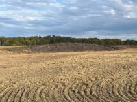 Top soil 