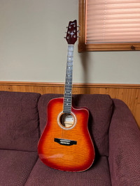 Semi acoustic guitar 