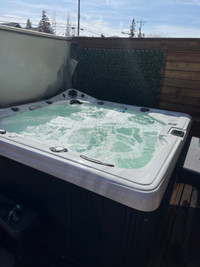 Dynasty Spa Hot Tub