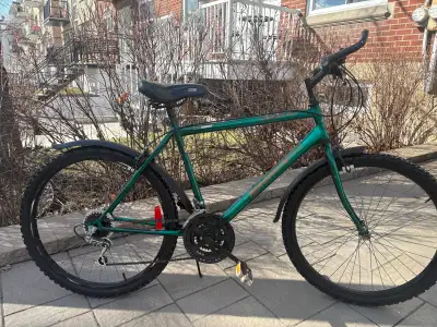 VÉLO NORTHLAND MAGNUM  18 vitesse, View more