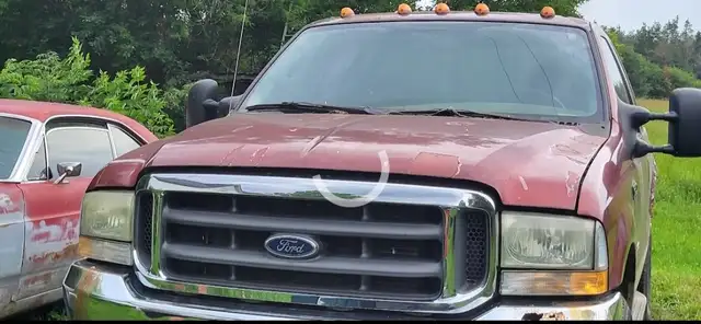 2004 Ford XLT518514800948695041