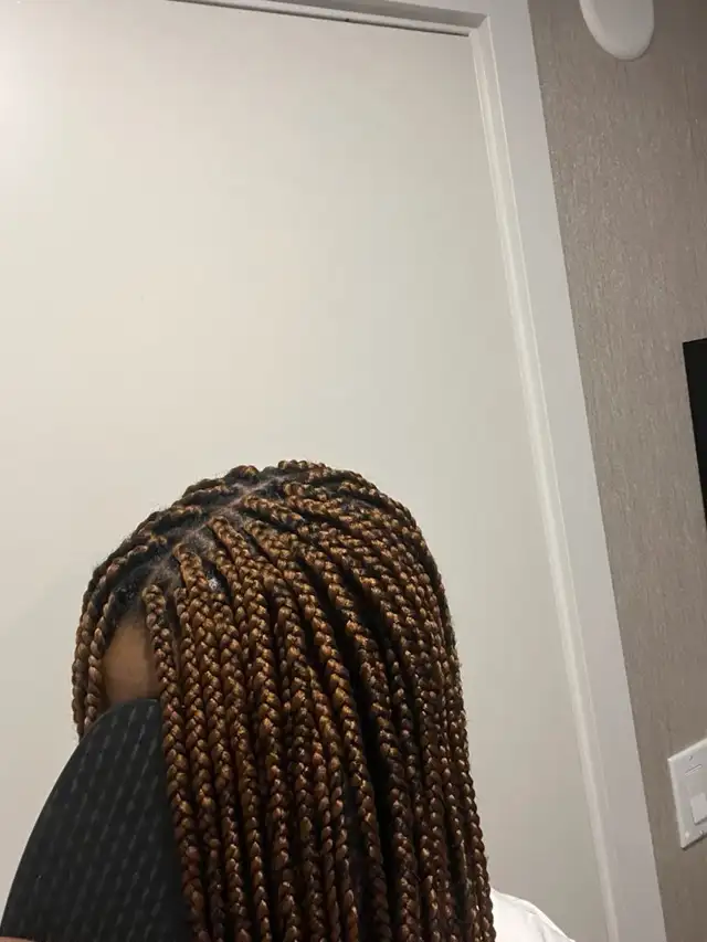 Braids & Protective Styles - South Shore -Honey B Hair