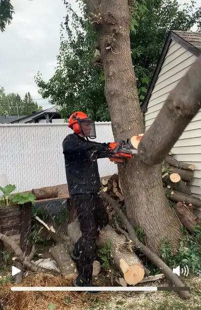 Émondage-Abattage    SERVICE D'ARBRES ,Tree removal, View more